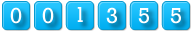 website counter
