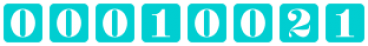 website counter