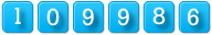 html hit counter code