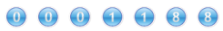 web counter