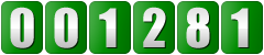 website hit counter